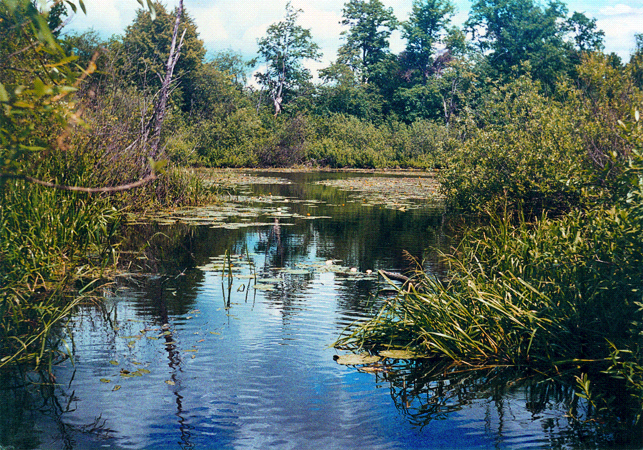 "Озеро Чага. Фото 2006."